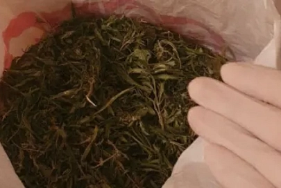 В Гомеле задержан наркодилер